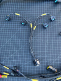 K SERIES ENGINE HARNESS