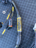 K SERIES ENGINE HARNESS